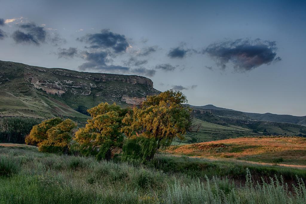 De Molen Farm Villa Clarens Exterior foto